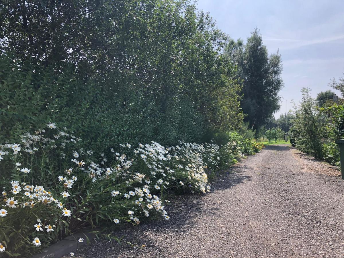 Bûtenom Oudwoude Exteriör bild